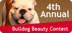 4th Annual Bulldog Beauty Contest